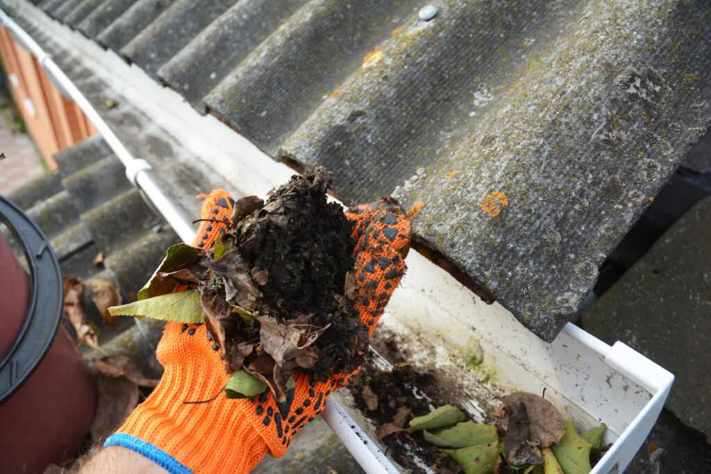 Gutter cleaning with hand from fallen leaves in Guildford